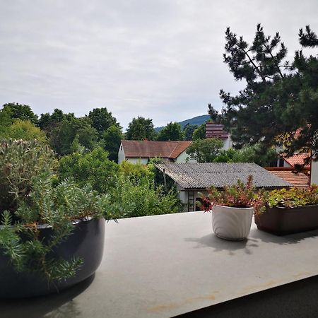 Spacy Apartment Next To The Center Of Graz With Terrasse Luaran gambar