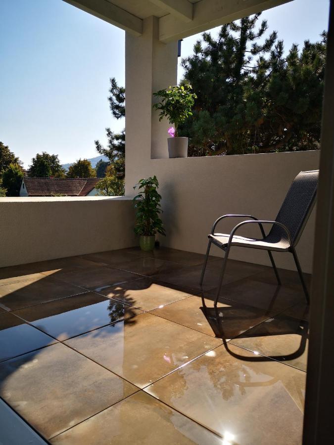Spacy Apartment Next To The Center Of Graz With Terrasse Luaran gambar